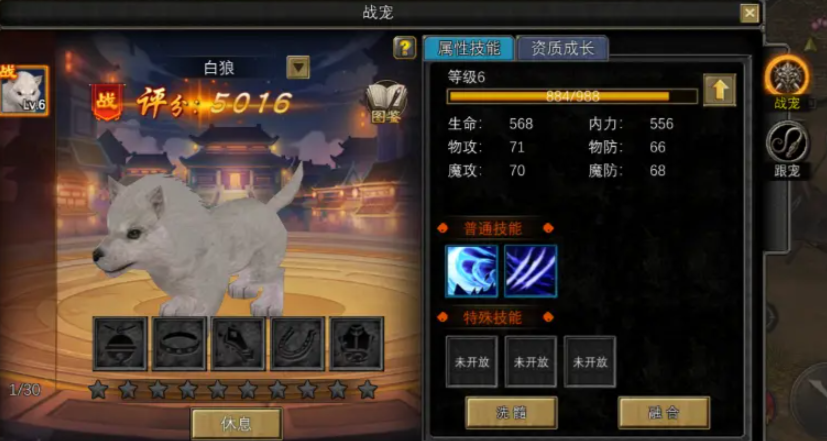 寻梦丝路宠物怎么获取 寻梦丝路宠物教程截图