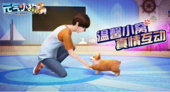 狗狗游戏下载推荐