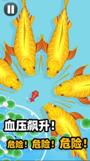 鲤鱼所有游戏有哪几款盘点2025 热门鲤鱼游戏榜单截图
