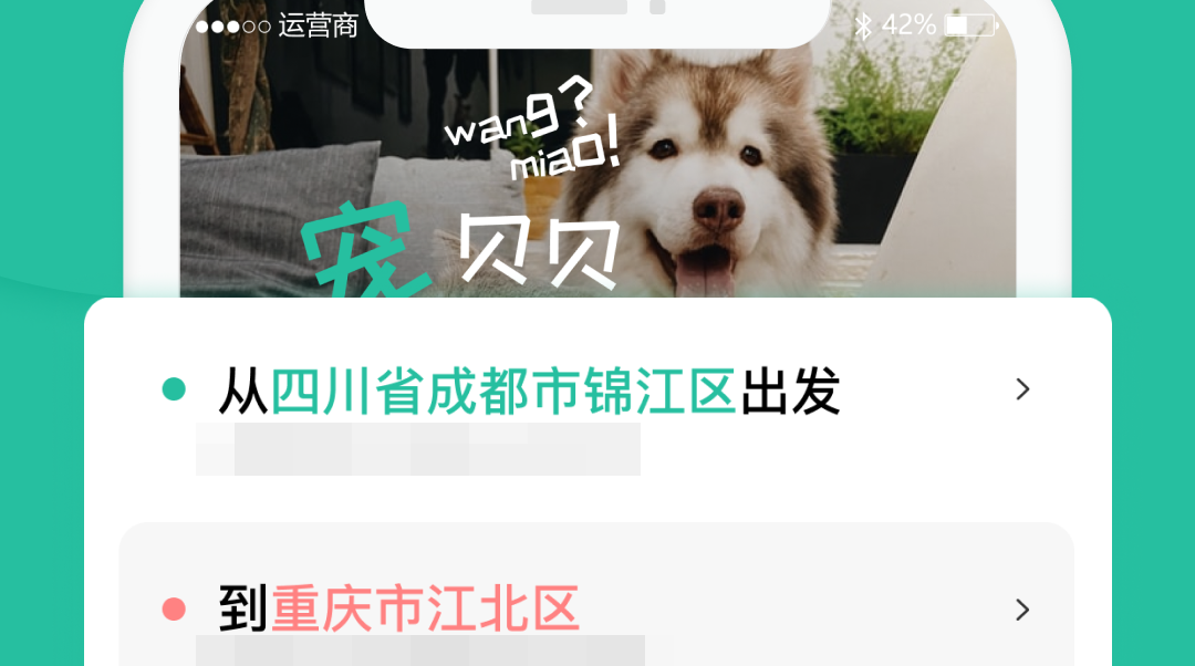 实用的宠物托运平台app有哪几款 宠物托运平台app哪些好