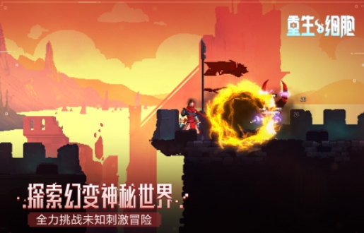 有哪几款受欢迎的地图探索类不用网络游戏 2025地图探索类游戏盘点截图