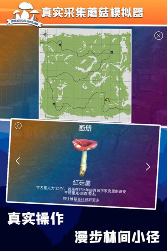 受欢迎的采蘑菇游戏在哪里