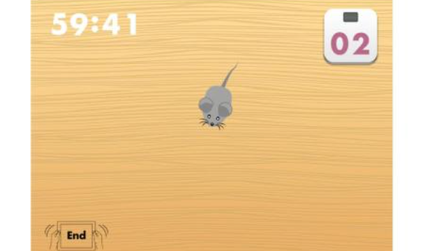猫喜欢玩什么游戏