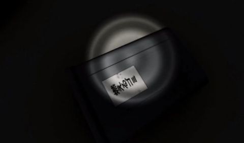 2025有趣的女丧尸游戏分享