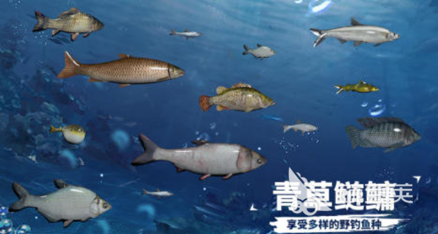 适合老年人的不用钱互动手机游戏分享：益智健脑又有趣截图