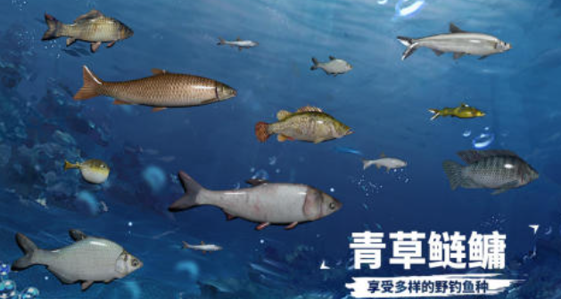 带老年人玩的互动手机游戏叫什么名字 不用钱的老年人游戏下载2025截图