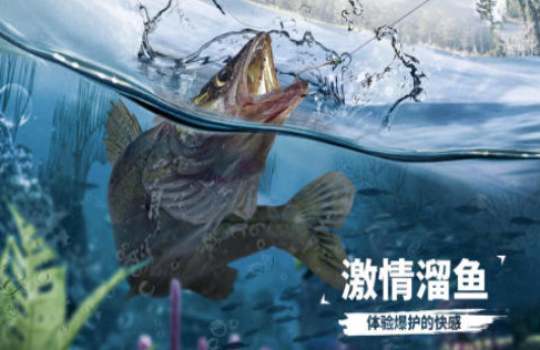 不用钱的抓鱼大师游戏下载合集 热门的抓鱼大师游戏下载分享2025截图