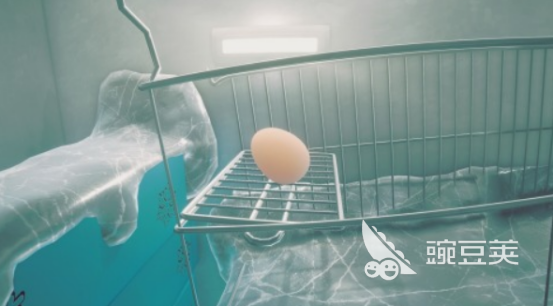 2025火爆的鸡蛋主题榜单9分享：耐玩老式鸡蛋游戏before_1