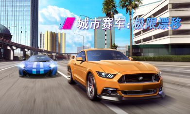 大型的赛车游戏不用钱下载 2025受欢迎的赛车游戏推荐截图