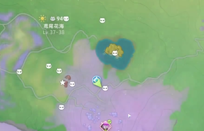 伊莫鸢尾花海地图盘点 伊莫鸢尾花海教程