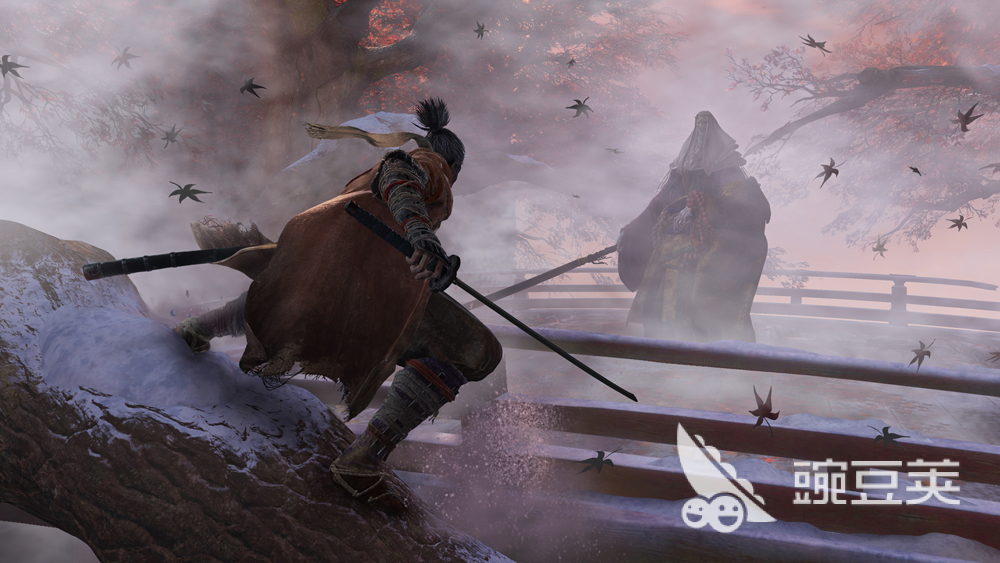 只狼影逝者突然严重掉帧怎么办？常见原因与实用解决方法