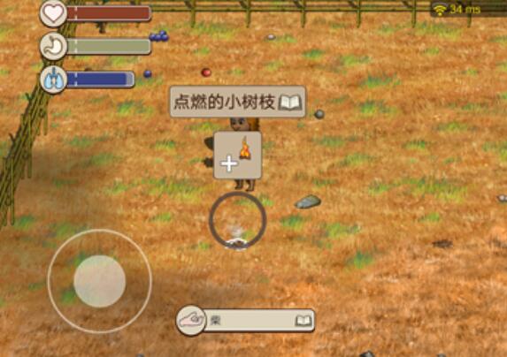 村落人生怎么生火 村落人生生活方法盘点截图