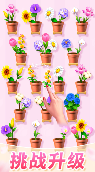 插花消除游戏哪些值得玩2025