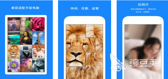 流行人物拼图游戏分享2025 流行人物拼图游戏不用钱下载榜单截图