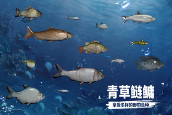 2025有趣的打鱼休闲游戏top5