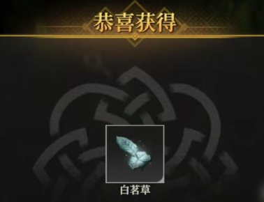 地下城堡4白茗草位置在哪里 地下城堡4白茗草怎么获取截图