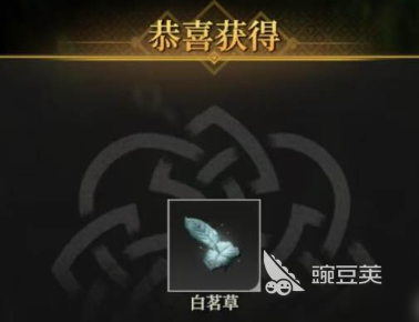 地下城堡4白茗草位置指引 地下城堡4白茗草获取方法详解截图
