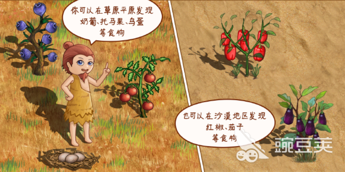 村落人生食物制作全教程 村落人生食物怎么制作方法详解截图