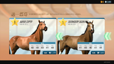 模拟马场游戏排行top5