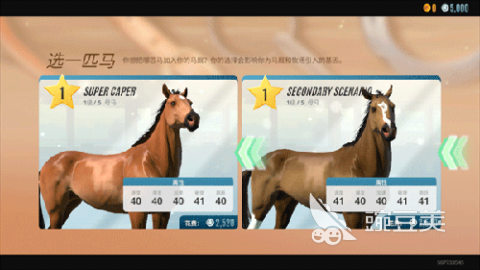 模拟马场游戏排行TOP5 2025趣味模拟马场游戏合辑  

模拟马场游戏排行TOP5 2025 模拟马场游戏分享榜单截图