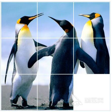 九宫格拼图游戏分享 2025耐玩拼图游戏合辑截图