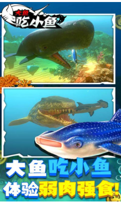 受欢迎的大鱼吃小鱼游戏版有哪几款 有趣的鱼类吞噬游戏介绍2025截图