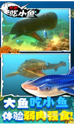 大鱼吃小鱼游戏分享2025 大鱼吃小鱼游戏有哪几款受欢迎的介绍截图