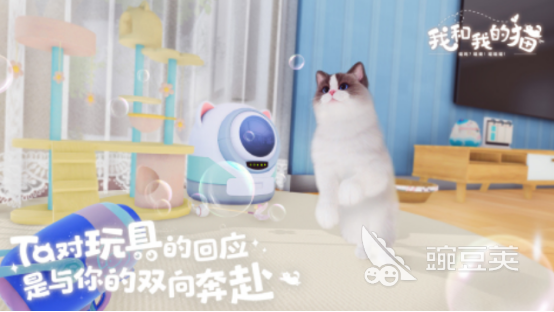 一个屋子里养猫的游戏叫什么名字 2025高人气的养猫榜单9分享before_1截图