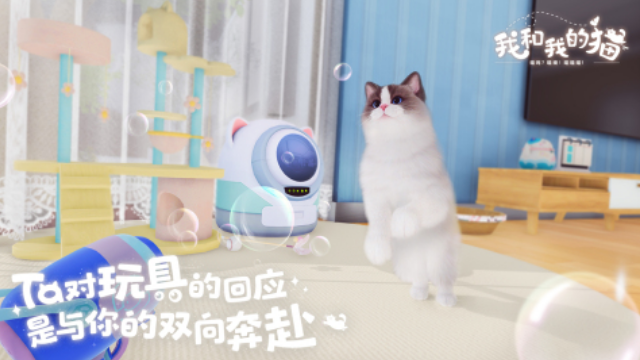 一个屋子里养猫的游戏叫什么名字 高人气的养猫榜单9分享before_12025截图