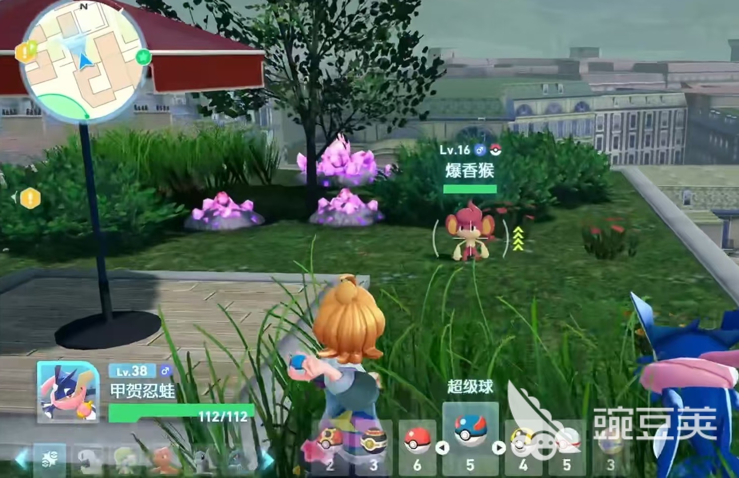 宝可梦传说Z-A爆香猴强度解析 宝可梦传说Z-A爆香猴实战表现与配招建议截图