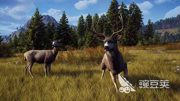 猎人之路攻略盘点 猎人之路玩法教程截图