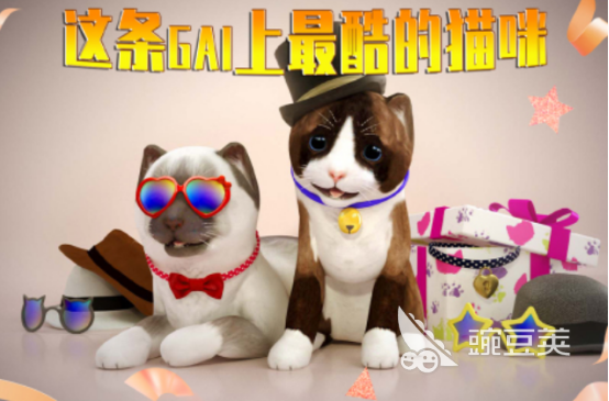 猫武士手游2025 猫武士游戏手机版类似游戏分享截图