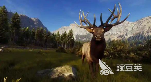 猎人之路白尾鹿在哪 猎人之路白尾鹿刷新位置与寻找技巧截图