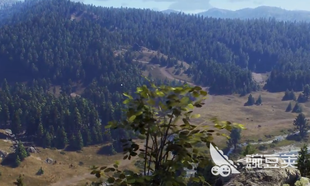 猎人之路英文名是什么 猎人之路英文名称详细盘点截图