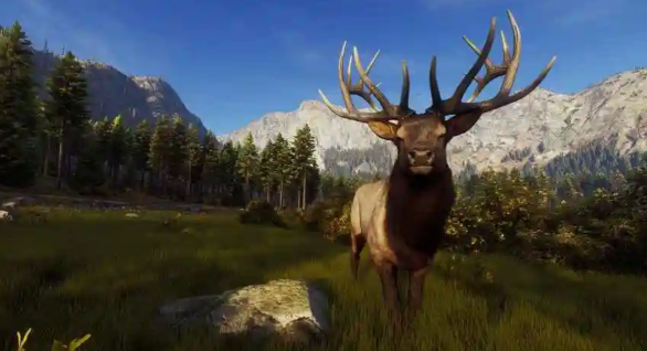 猎人之路白尾鹿在哪儿找 猎人之路白尾鹿找寻教程截图