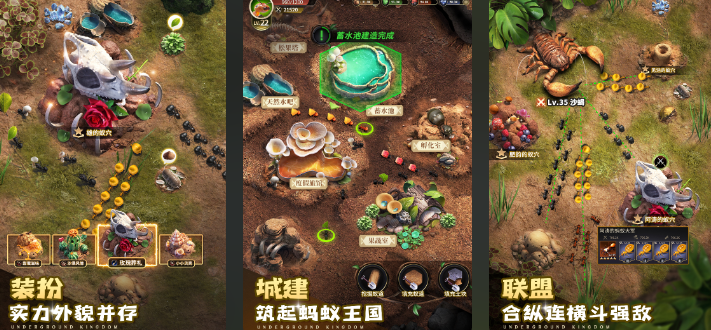 蚂蚁进化3d手机游戏有哪几款 2025受欢迎的蚂蚁手游安卓下载分享截图