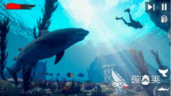大白鲨游戏下载 2025榜单合集4鲨鱼游戏手机版before_2 大白鲨游戏下载 哪款鲨鱼手游最值得下载截图