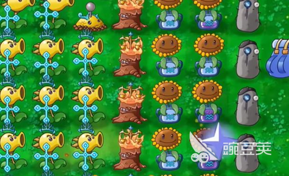 植物大战僵尸是什么游戏 植物大战僵尸2025火爆的玩法榜单截图