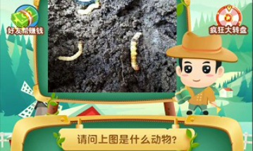 猜动物游戏有哪些