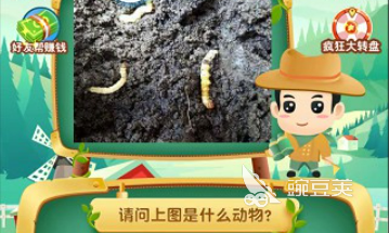 2025最好玩的猜动物游戏分享:十款趣味互动游戏榜单合集