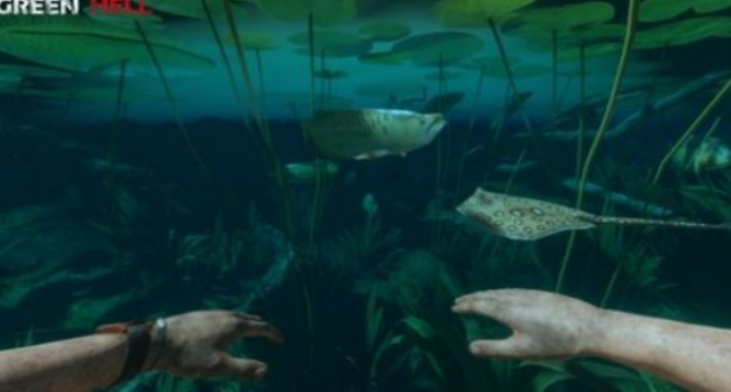 丛林游戏哪个值得下载2025 优质的丛林游戏分享截图