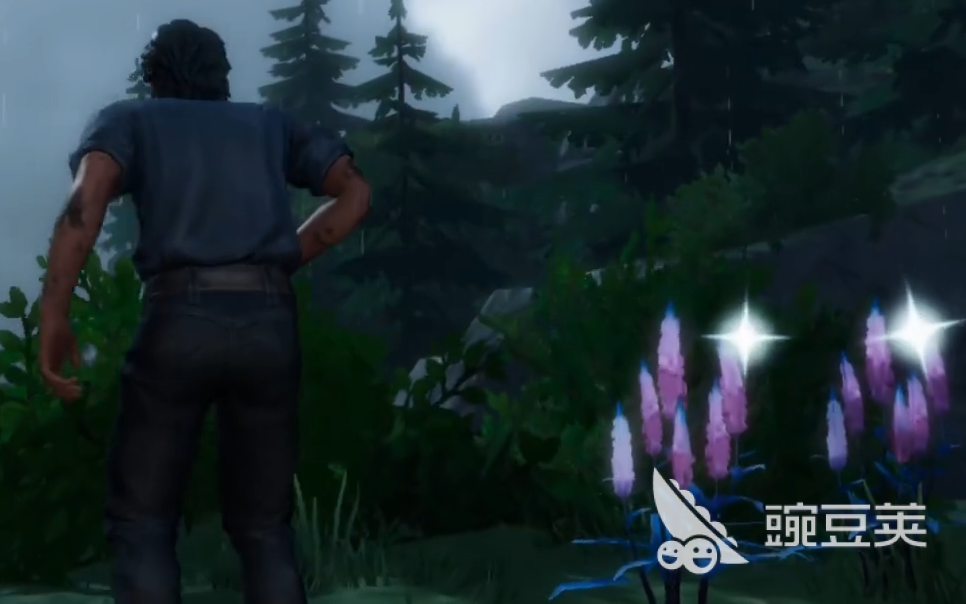 荒原曙光加载失败怎么办？快速解决加载不动的实用方法