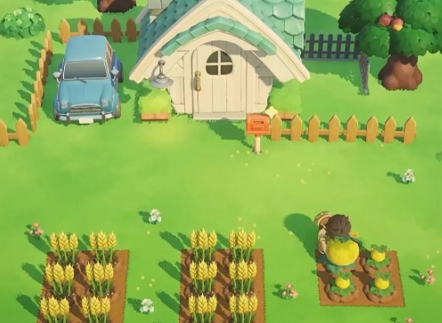 星布谷地幻雪怎么样 星布谷地幻雪特色