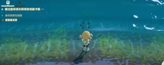 星布谷地钓鱼技巧推荐 星布谷地赶海技巧