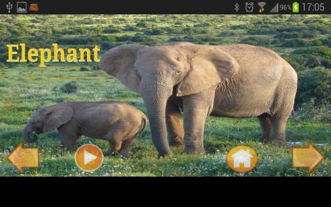 2025火爆的动物世界游戏盘点