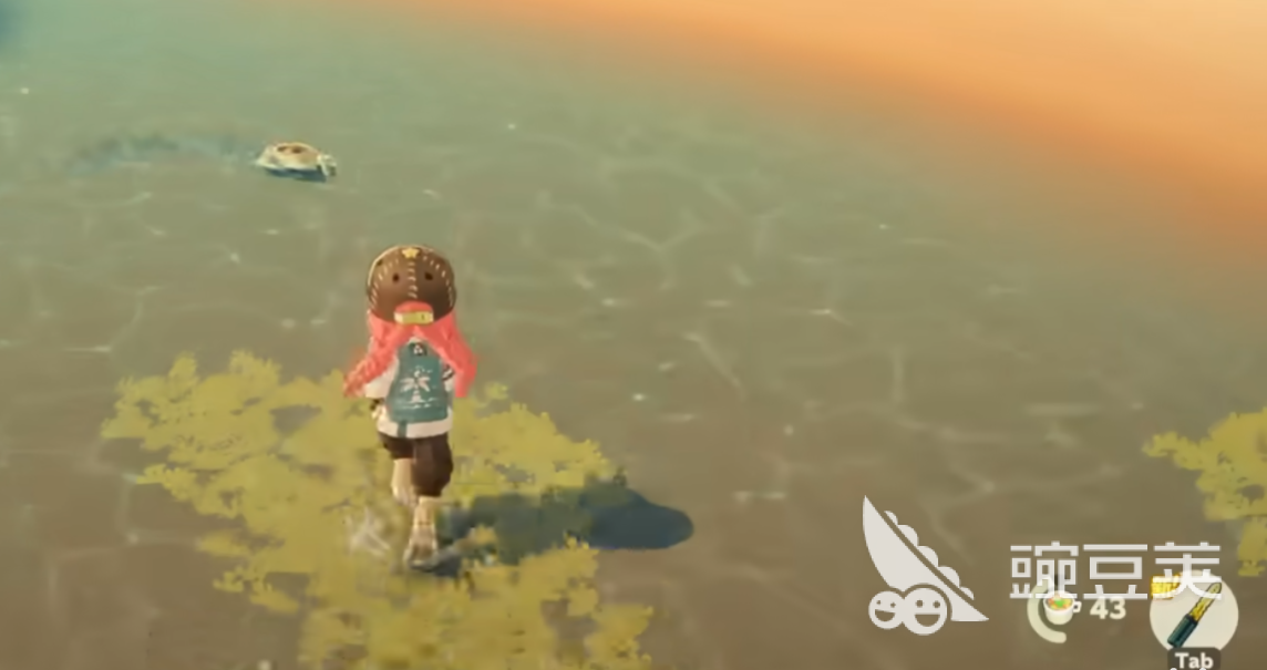 星布谷地螃蟹在哪 星布谷地螃蟹捕捉位置与技巧截图