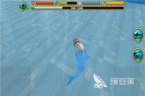 2025火爆的鲨鱼榜单5分享 2025受欢迎的鲨鱼小游戏before_1推荐截图