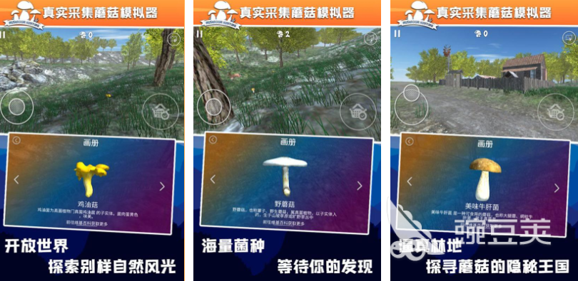 采蘑菇游戏下载 不用钱的蘑菇游戏分享2025截图