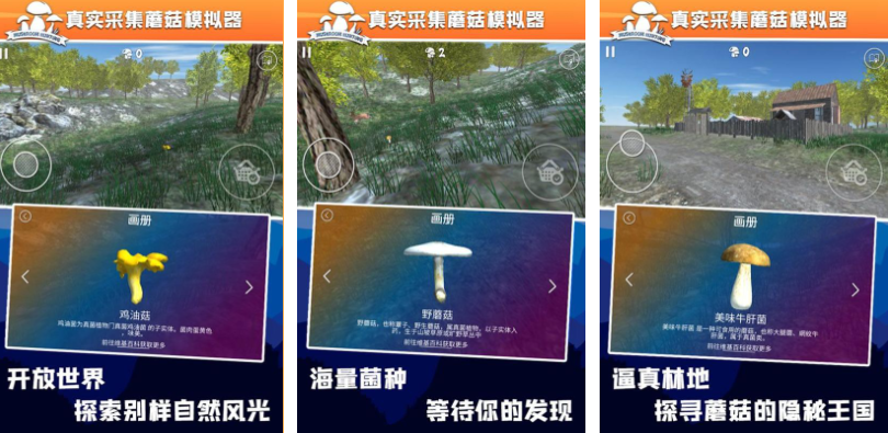 流行的采蘑菇游戏下载 不用钱的蘑菇游戏分享2025截图