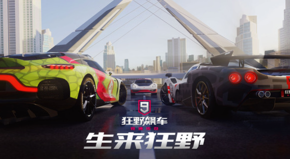 经典的赛车比赛游戏在哪里下载 2025好玩的赛车游戏榜单截图